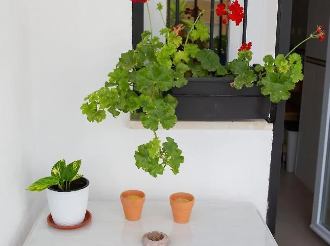 Puerto Deportivo * Estepona